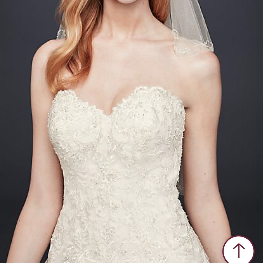 Wedding Dress size 2 ivory ballgown Davids Bridal